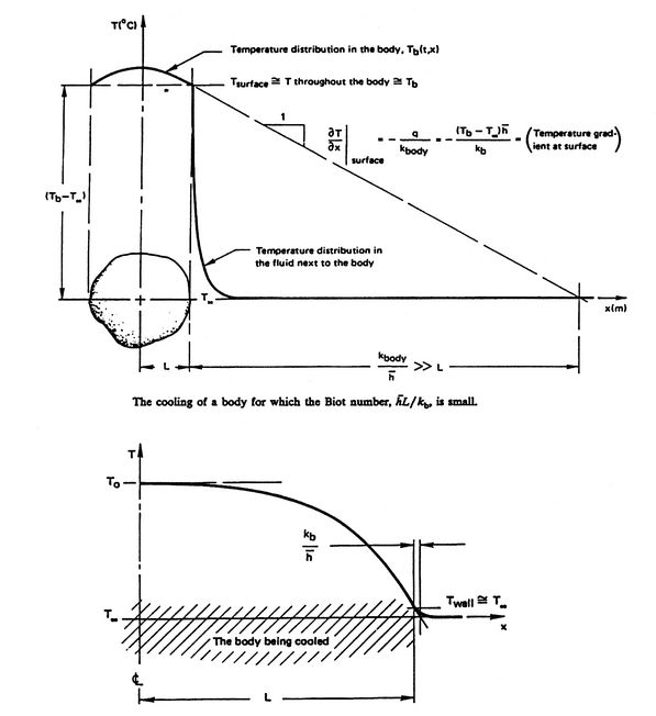 Image fig9BiotBody_web