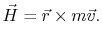 $\displaystyle \vec{H}=\vec{r}\times m\vec{v}.
$