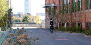 Stata Flowerbeds