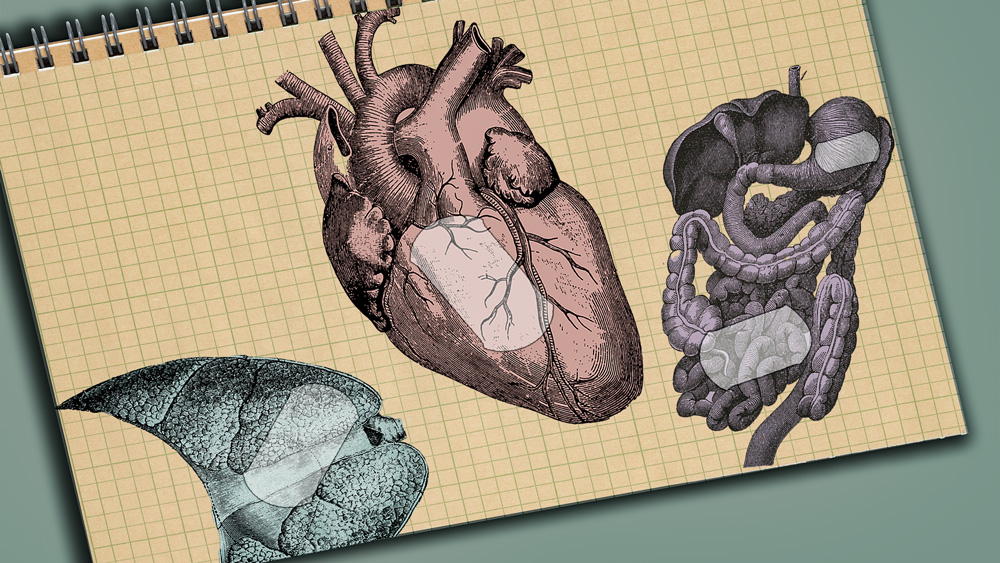 An open notebook shows illustrations of the heart, liver, and intestines with translucent bandages.