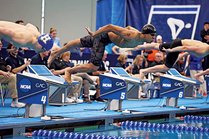 Swimmers launch into the water during a race