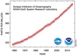 Figure 3. Monthly mean atmospheric carbon dioxide