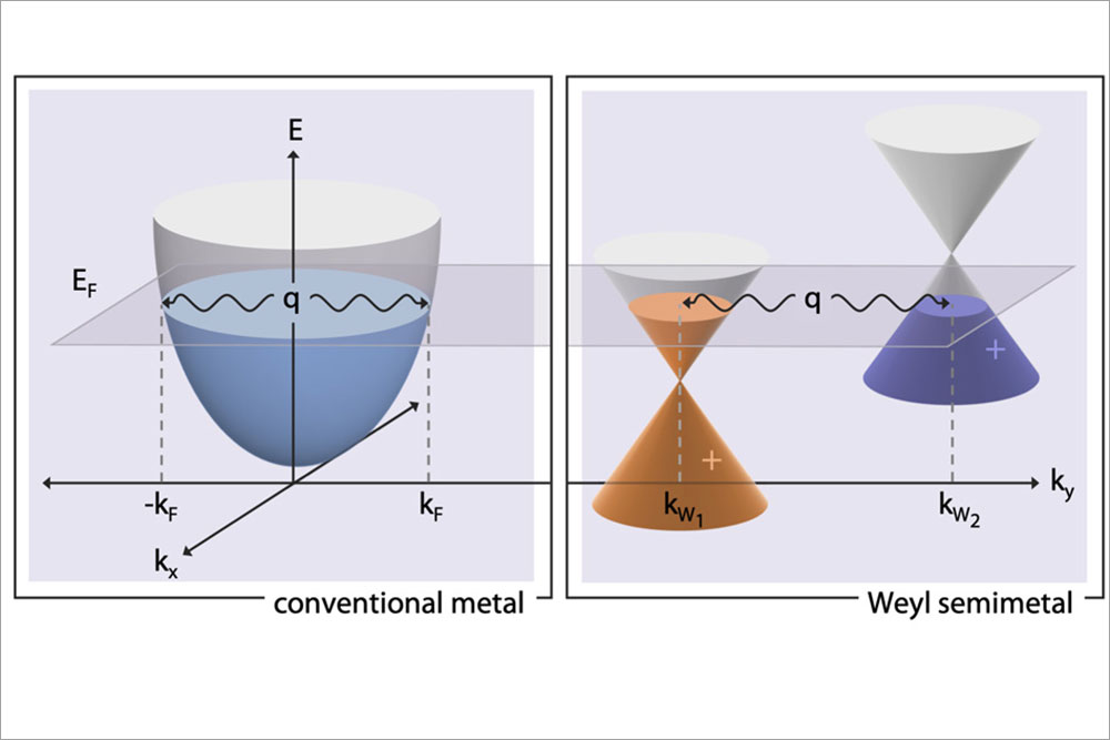 Kohn Anomalies, MIT