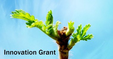 Innovation Grant